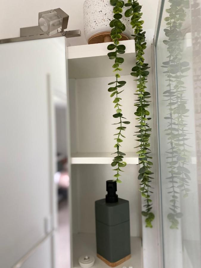 Glenie Cottage Bnb Guesthouse Timaru Εξωτερικό φωτογραφία